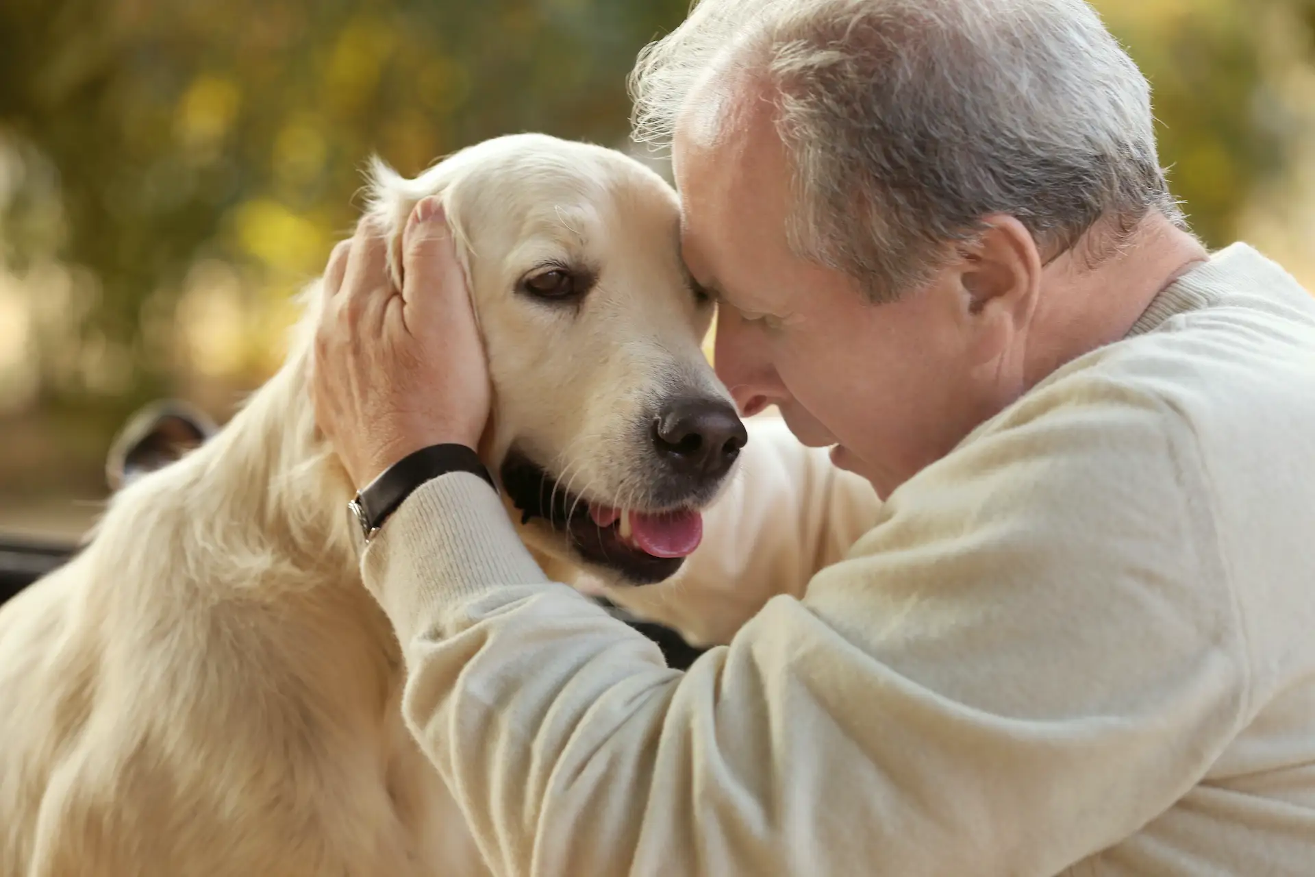 Un bărbat cu un câine golder retriever